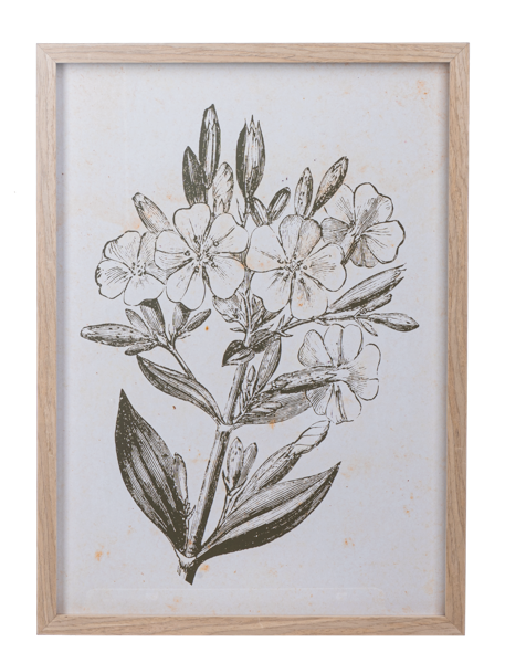 Framed Botanical Wall Decor