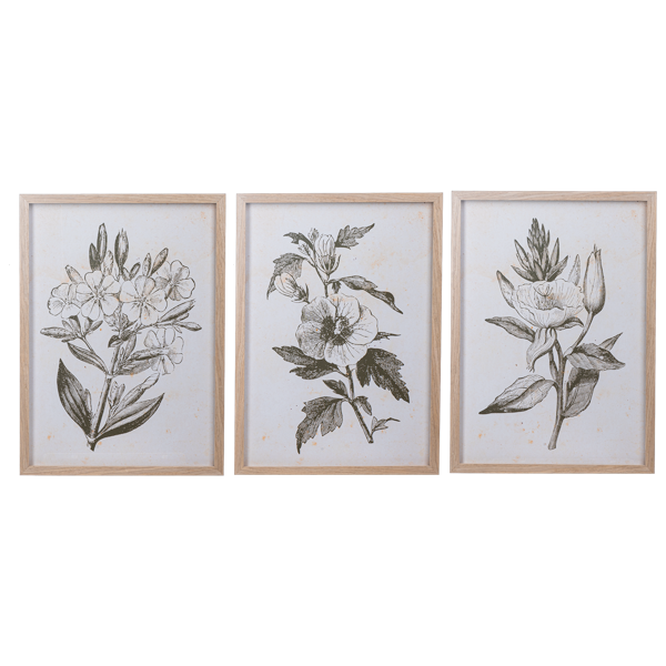 Framed Botanical Wall Decor