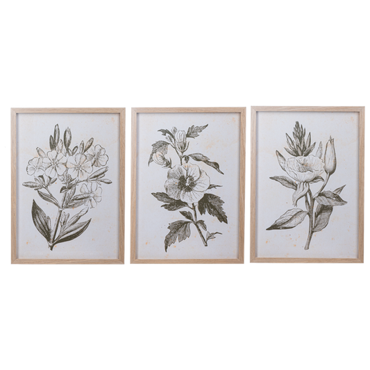 Framed Botanical Wall Decor