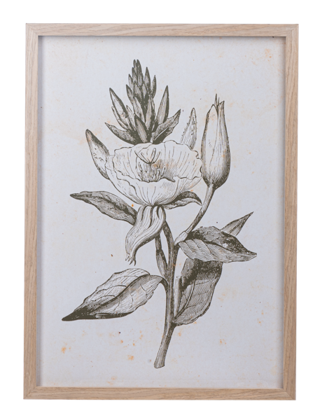 Framed Botanical Wall Decor