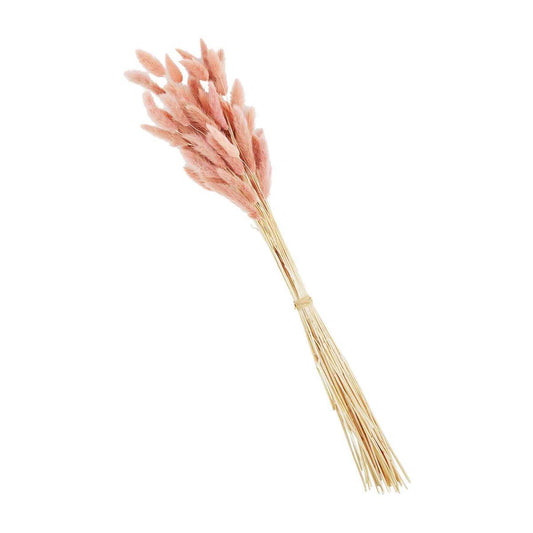 Pink Bunny Tail Grass Bundle