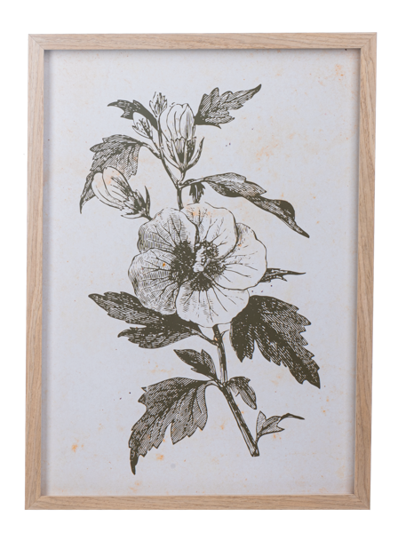 Framed Botanical Wall Decor